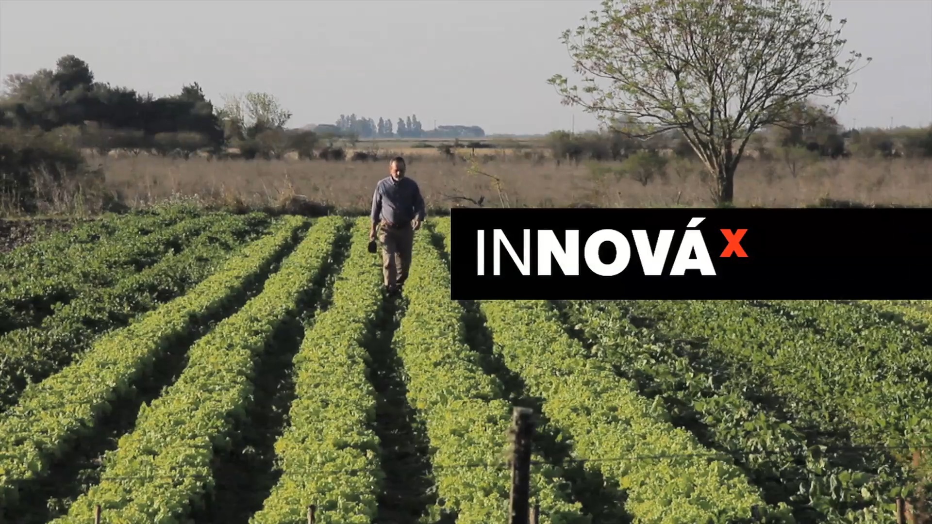 Imagen de TEDx Estación Ewald