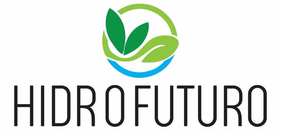 Logo HIDROFUTURO